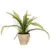 Kirkland's Home Arrangements & Greenery-Fern Bush In Distressed Ivory Planter