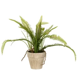 Kirkland's Home Arrangements & Greenery-Fern Bush In Distressed Ivory Planter