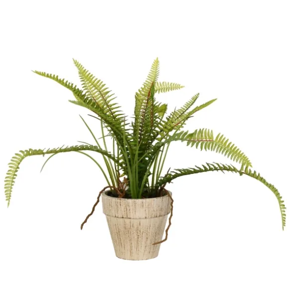 Kirkland's Home Arrangements & Greenery-Fern Bush In Distressed Ivory Planter