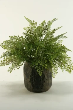 Kirkland's Home Arrangements & Greenery-Flat Iron Fern Arrangement In Antiqued Planter