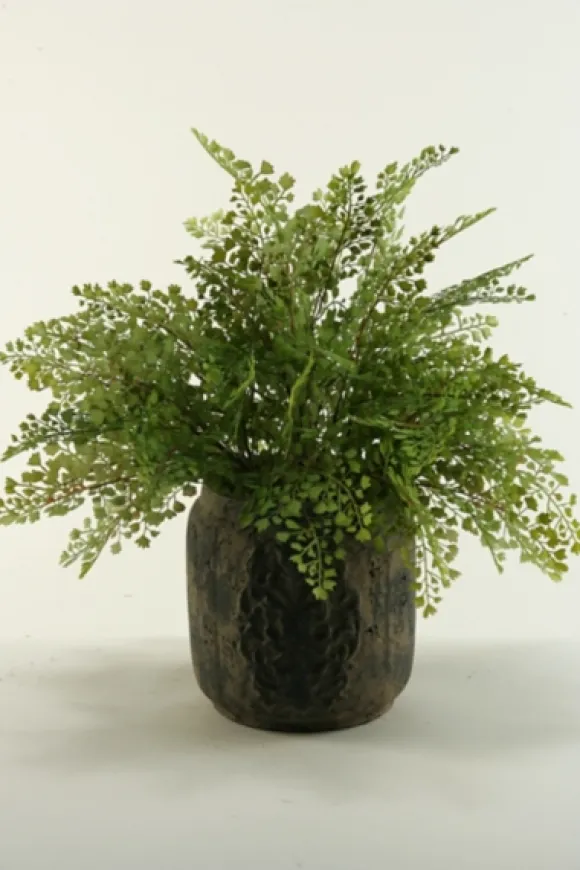 Kirkland's Home Arrangements & Greenery-Flat Iron Fern Arrangement In Antiqued Planter