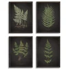 Kirkland's Home Framed Art-Four Ferns Framed Art Prints, Set Of 4