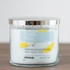 Kirkland's Home Candles-Fresh Rain Triple Wick Jar Candle