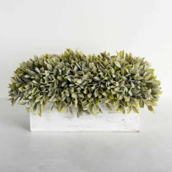 Kirkland's Home Arrangements & Greenery-Frosted Sage Arrangement In Wooden Box