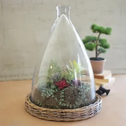 Kirkland's Home Decorative Accents-Glass And Wicker Base Cloche
