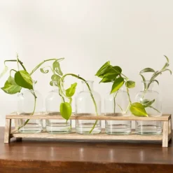 Kirkland's Home Vases-Glass Bottle Vase And Crate 5-Pc. Set