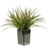 Kirkland's Home Arrangements & Greenery-Grass Arrangement In Black Ceramic Planter