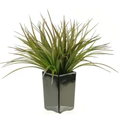 Kirkland's Home Arrangements & Greenery-Grass Arrangement In Black Ceramic Planter