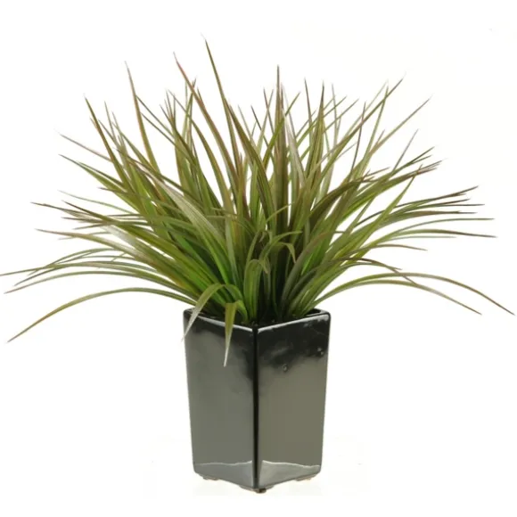 Kirkland's Home Arrangements & Greenery-Grass Arrangement In Black Ceramic Planter
