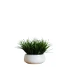 Kirkland's Home Arrangements & Greenery-Grass Arrangement In White Ceramic Bowl