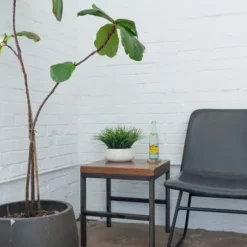 Kirkland's Home Arrangements & Greenery-Grass Arrangement In White Ceramic Bowl