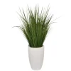 Kirkland's Home Arrangements & Greenery-Grass Arrangement In White Cement Pot