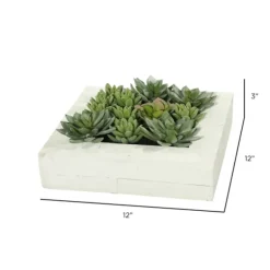 Kirkland's Home Arrangements & Greenery-Green Succulents In White Rustic Planter
