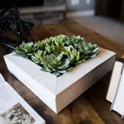 Kirkland's Home Arrangements & Greenery-Green Succulents In White Rustic Planter