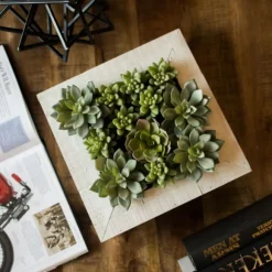 Kirkland's Home Arrangements & Greenery-Green Succulents In White Rustic Planter