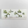 Kirkland's Home Canvas Art-Greenery In Bottle Vases Canvas Art Print