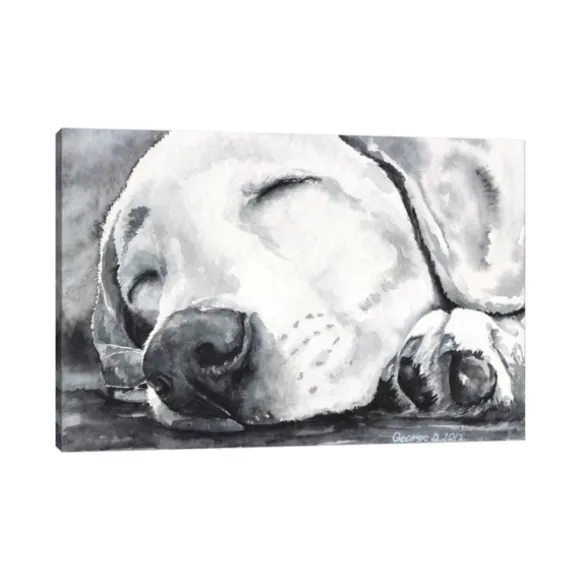 Kirkland's Home Canvas Art-Happy Dreams Dog Giclee Canvas Art Print, 40X26