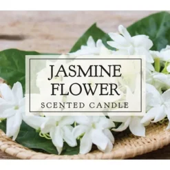 Kirkland's Home Candles-Jasmine Flower Votive Candles, Set Of 8