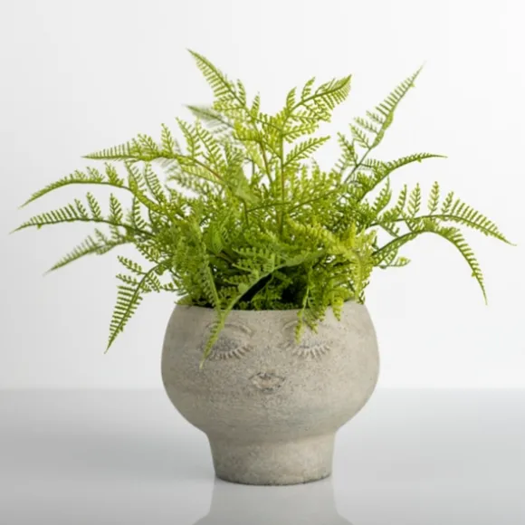 Kirkland's Home Arrangements & Greenery-Lace Fern Plant In Face Planter