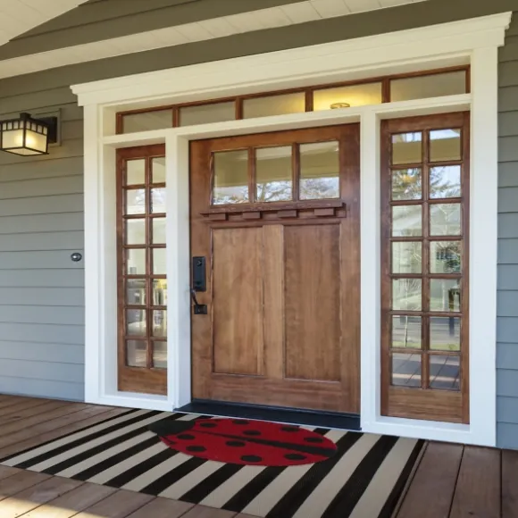 Kirkland's Home Doormats-Ladybug Shaped Doormat