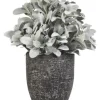 Kirkland's Home Arrangements & Greenery-Lamb'S Ear Arrangement In Textured Black Planter