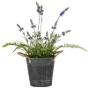 Kirkland's Home Arrangements & Greenery-Lavender And Fern Arrangement In Iron Pot, 18 In.
