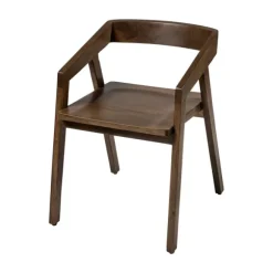 Kirkland's Home Dining Chairs-Mango Wood Dining Chair