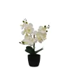 Kirkland's Home Arrangements & Greenery-Orchid Arrangement In Black Decorative Pot
