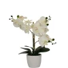 Kirkland's Home Arrangements & Greenery-Orchid Arrangement In Decorative Pot