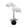 Kirkland's Home Arrangements & Greenery-Orchid Arrangement In Floral Planter