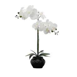 Kirkland's Home Arrangements & Greenery-Orchid Arrangement In Floral Planter