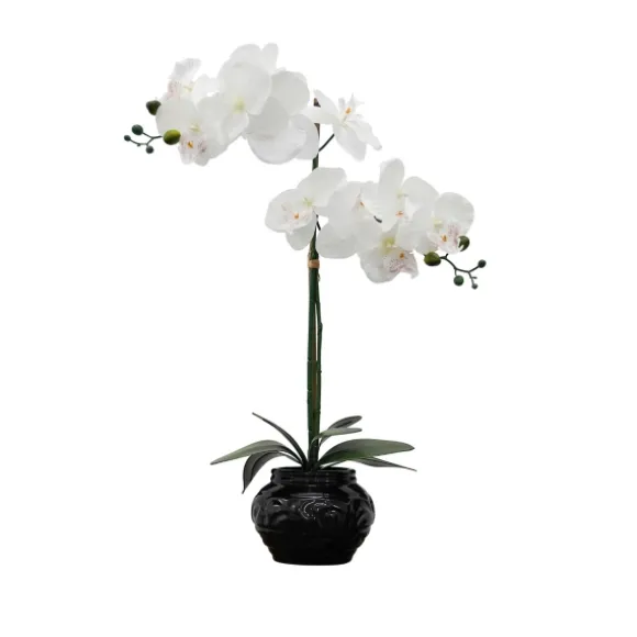 Kirkland's Home Arrangements & Greenery-Orchid Arrangement In Floral Planter