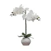 Kirkland's Home Arrangements & Greenery-Orchid Arrangement In Floral Planter