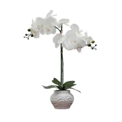 Kirkland's Home Arrangements & Greenery-Orchid Arrangement In Floral Planter