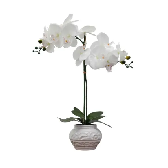 Kirkland's Home Arrangements & Greenery-Orchid Arrangement In Floral Planter