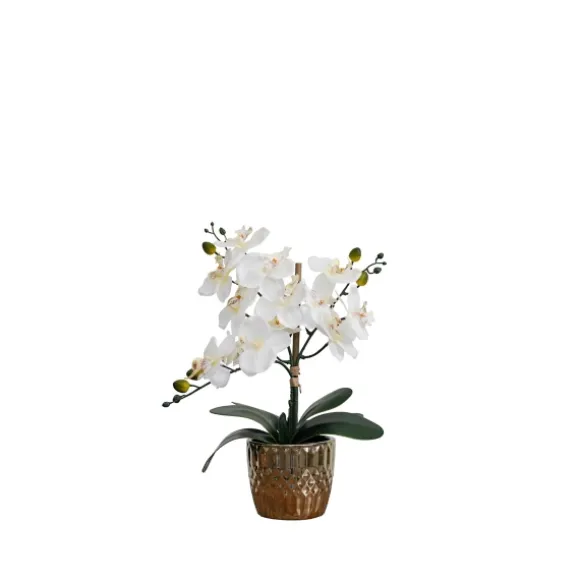 Kirkland's Home Arrangements & Greenery-Orchid Arrangement In Gold Decorative Pot