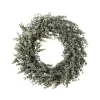 Kirkland's Home Wreaths-Parvafolia Eucalyptus Spiral Wreath