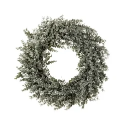 Kirkland's Home Wreaths-Parvafolia Eucalyptus Spiral Wreath