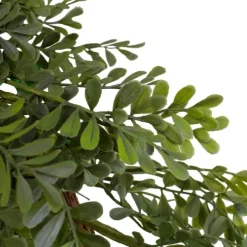 Kirkland's Home Wreaths-Spiral Mixed Boxwood Wreath