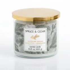 Kirkland's Home Candles-Spruce And Cedar Triple Wick Jar Candle