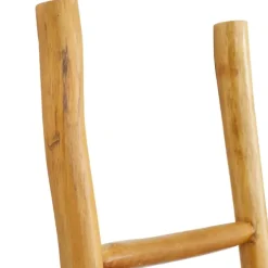 Kirkland's Home Decorative Accents-Teak Wood Leaning Ladder