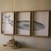 Kirkland's Home Framed Art-Triptych Whale Framed Art Prints, Set Of 3