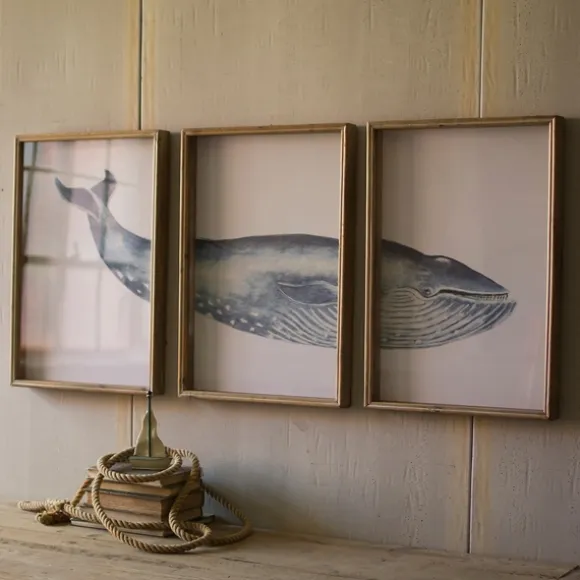 Kirkland's Home Framed Art-Triptych Whale Framed Art Prints, Set Of 3