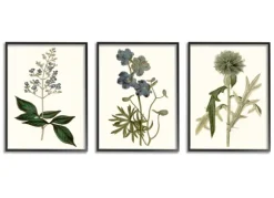 Kirkland's Home Framed Art-Vintage Blue Flowers Framed Art Prints, Set Of 3