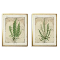 Kirkland's Home Framed Art-Vintage Green Ferns Framed Art Prints, Set Of 2