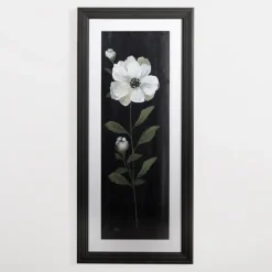 Kirkland's Home Framed Art-White Flower On Black I Framed Art Print