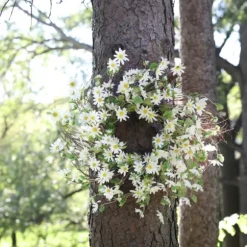 Kirkland's Home Wreaths-White Wild Daisies Wreath