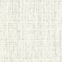 Kirkland's Home Dining Chairs-Woven Upholstered Dining Chairs, Set Of 2